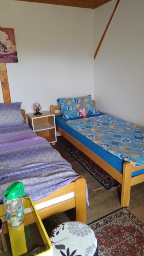 Hacijenda Gane Apartment Soko Banja Bagian luar foto