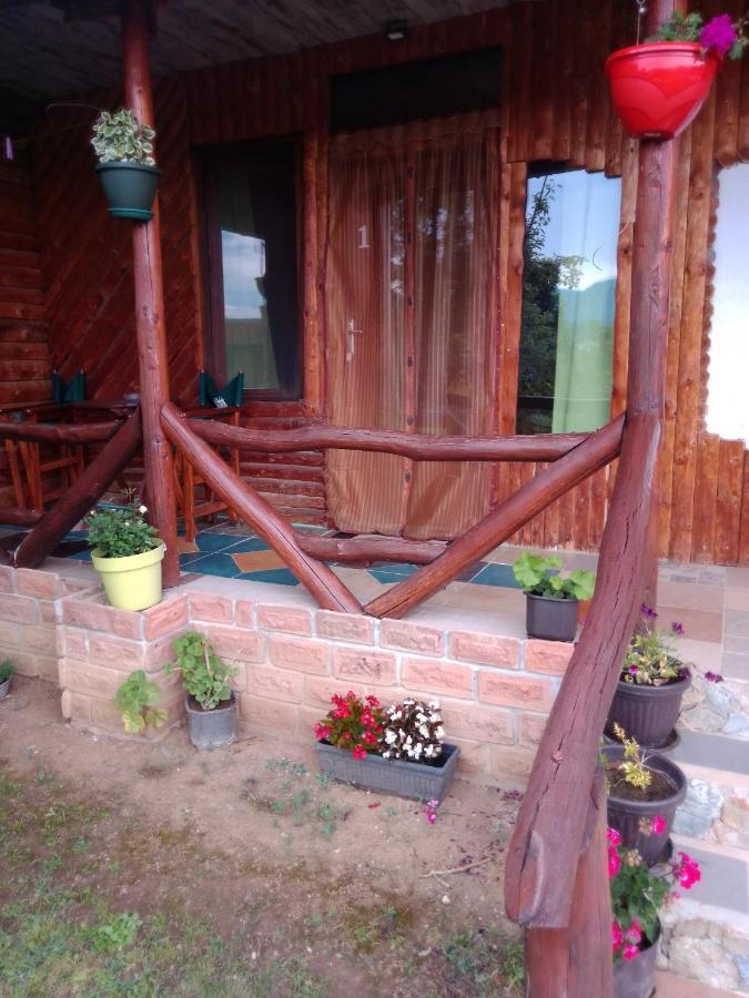Hacijenda Gane Apartment Soko Banja Bagian luar foto