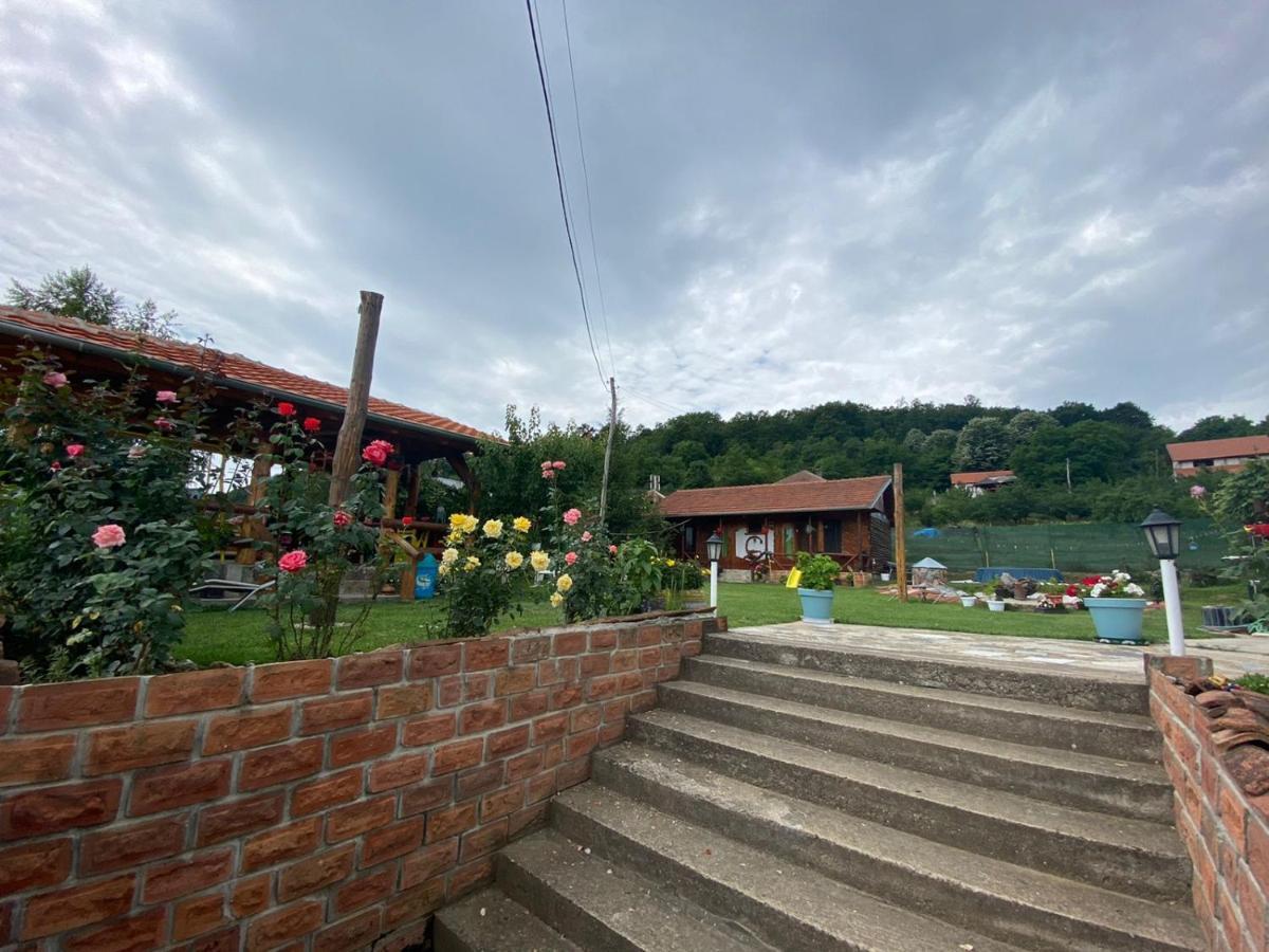 Hacijenda Gane Apartment Soko Banja Bagian luar foto