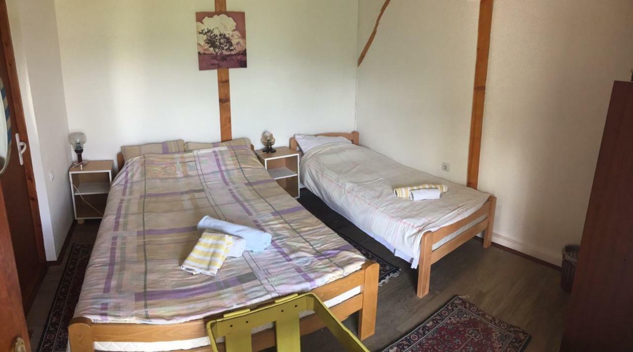 Hacijenda Gane Apartment Soko Banja Bagian luar foto