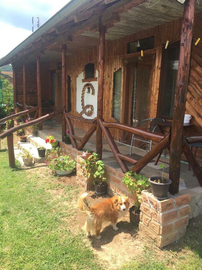 Hacijenda Gane Apartment Soko Banja Bagian luar foto